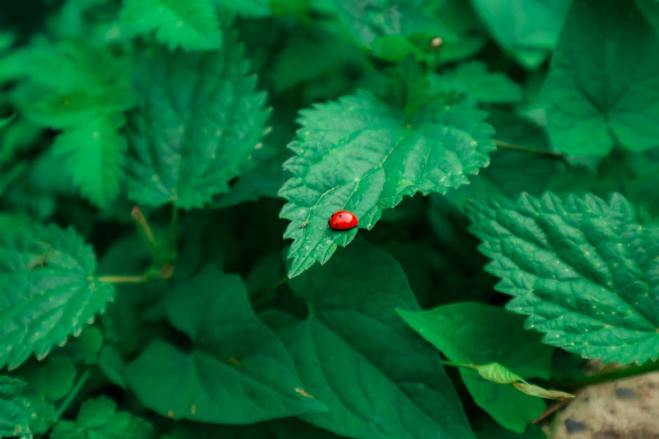 2024년 개인 소득세 신고, 당신의 궁금증을 풀어드립니다: A to Z 가이드